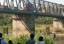 Buaya Muncul Di Permukaan, Jadi Tontonan Warga dan Pengguna Jalan.