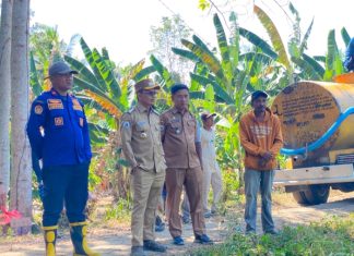 Turun Langsung ke Sawah, Bupati Samsul Mahmud Komandoi Penanganan Kekeringan, Damkar Selamatkan 250 Hektare Lahan Padi